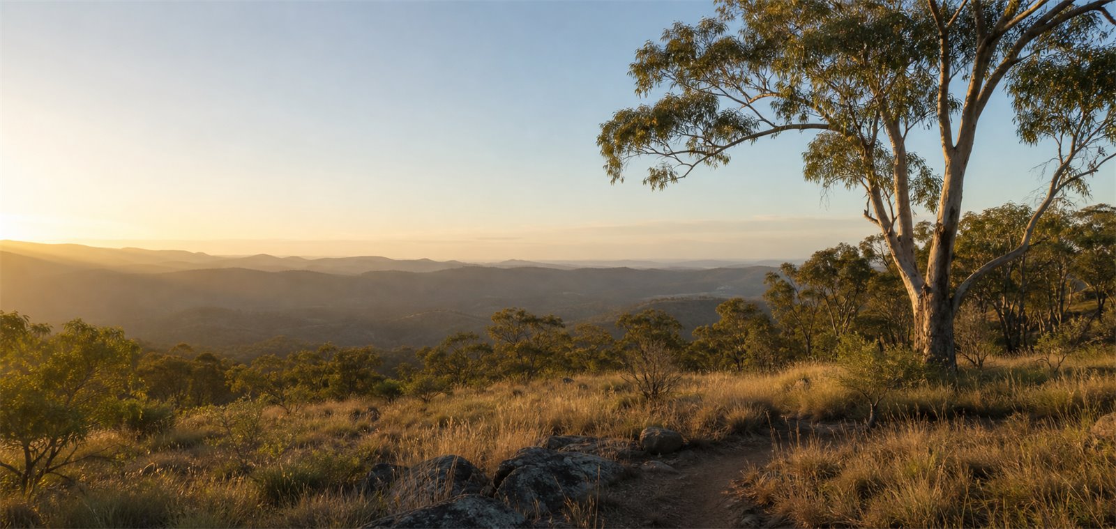 Australian bushland range at golden hour